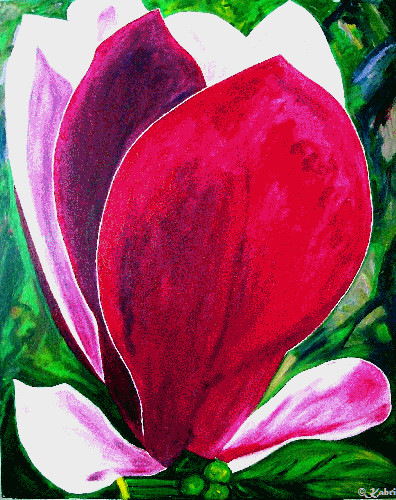 magnoliaflower